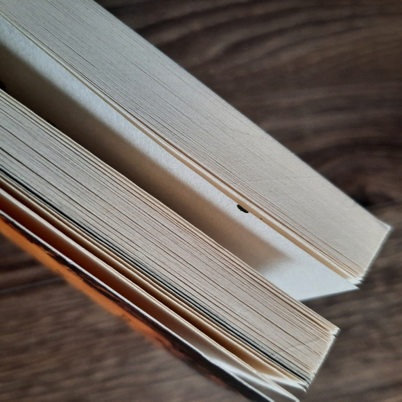 A Monster Calls by Patrick Ness - Picture 4 of 4